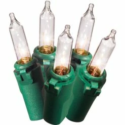 Buy 😍 Everstar 200 Ct. Heavy Duty Clear Light Set ✨