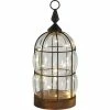 Best reviews of 👏 San Miguel Wildwood Lighting Ornament 🎉