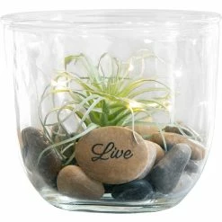 Promo 😉 San Miguel Natural Expressions Hurricane 🌟