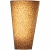 Promo 🎉 It's Exciting Lighting Vivid Granite 10 In. Sconce ⌛